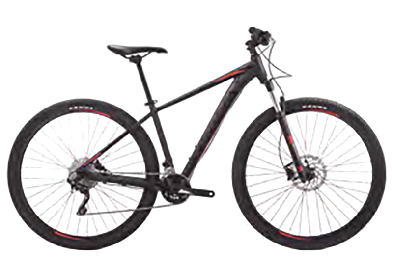 MX 10 - 2019
