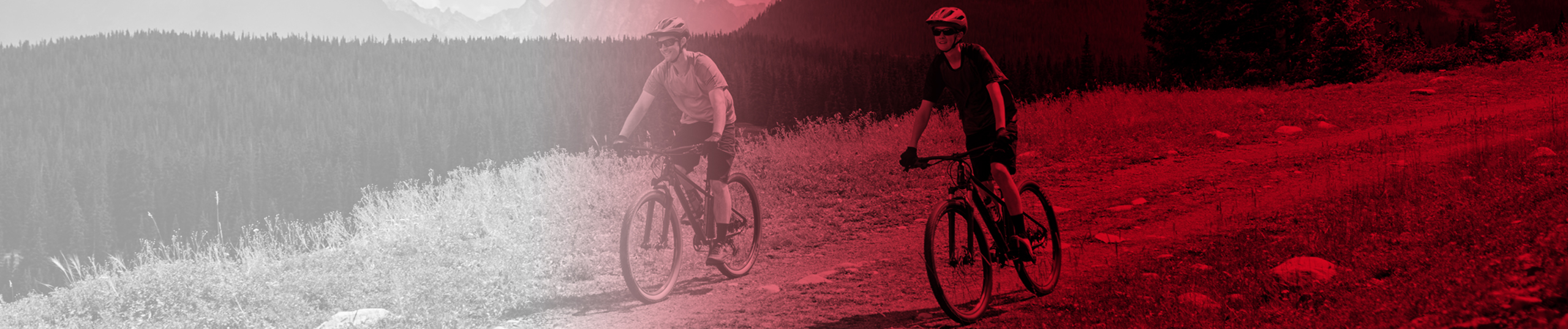Listing header image