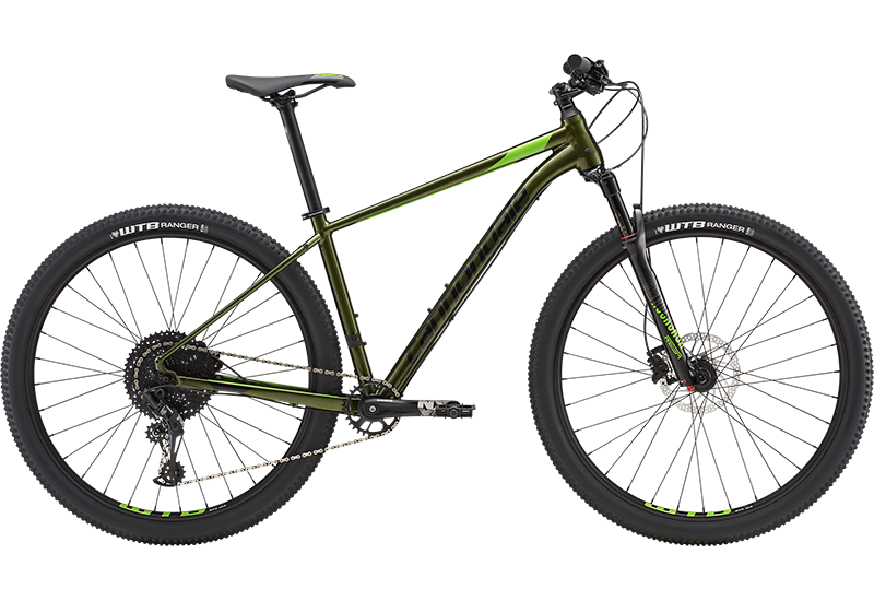 Trail - 2019