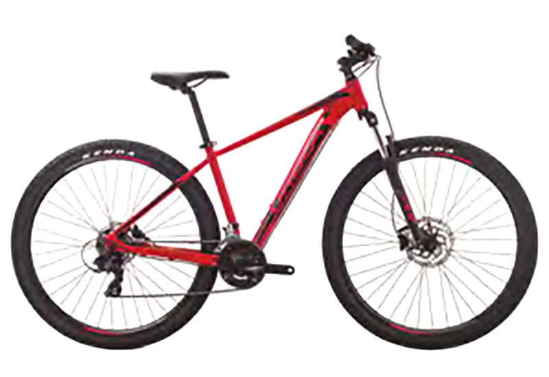 MX 60 - 2019