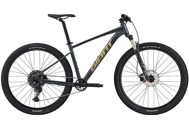 Talon 29 1 - 2024