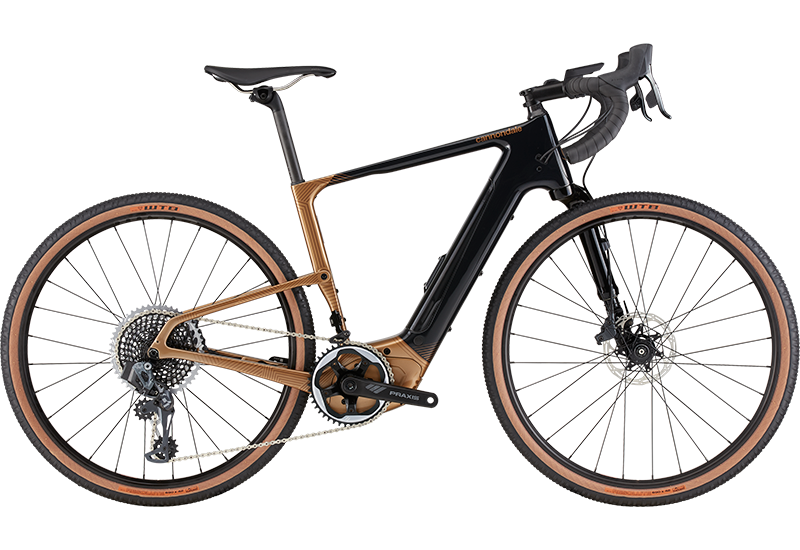Topstone Neo Carbon - 2021