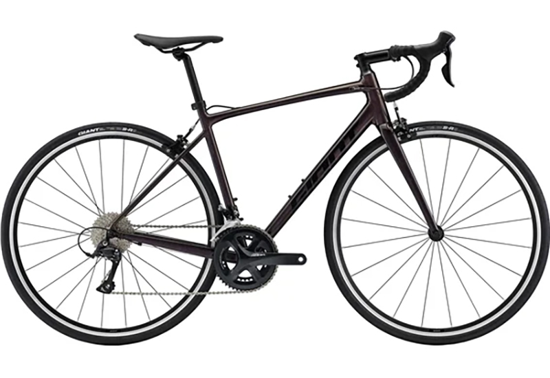 Contend 1 - 2023