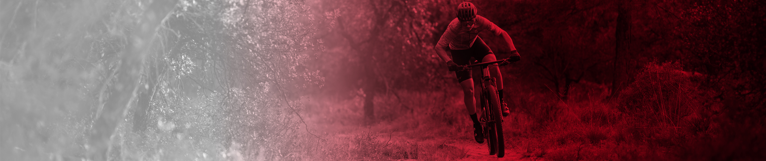 Listing header image