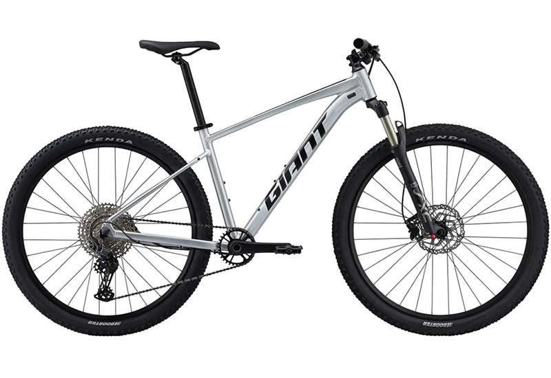 Talon 29 0 - 2024