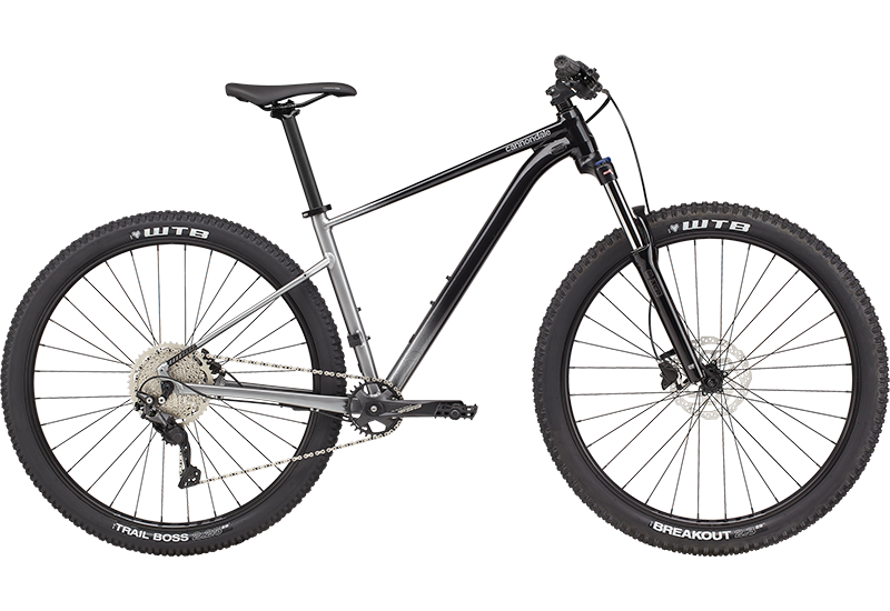 Trail - 2021