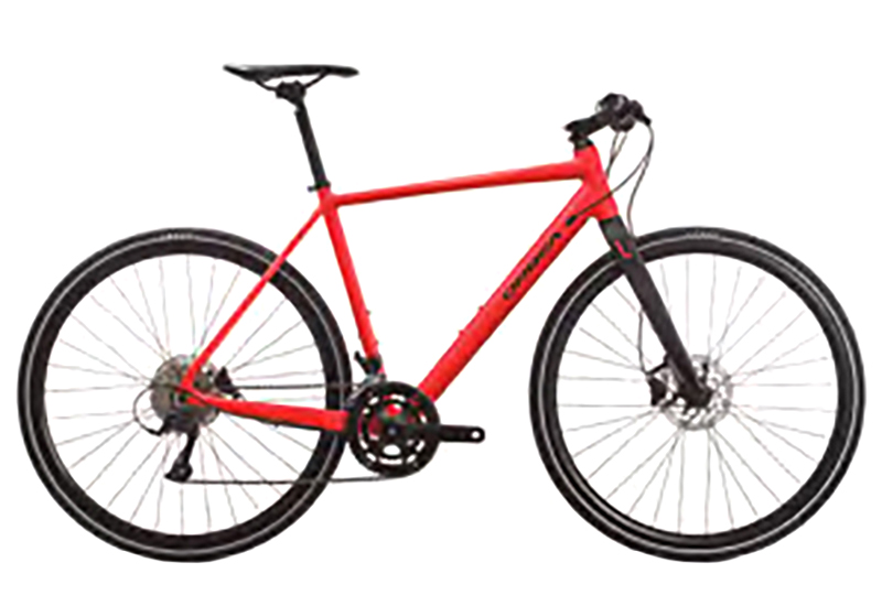 Vector 20 - 2019