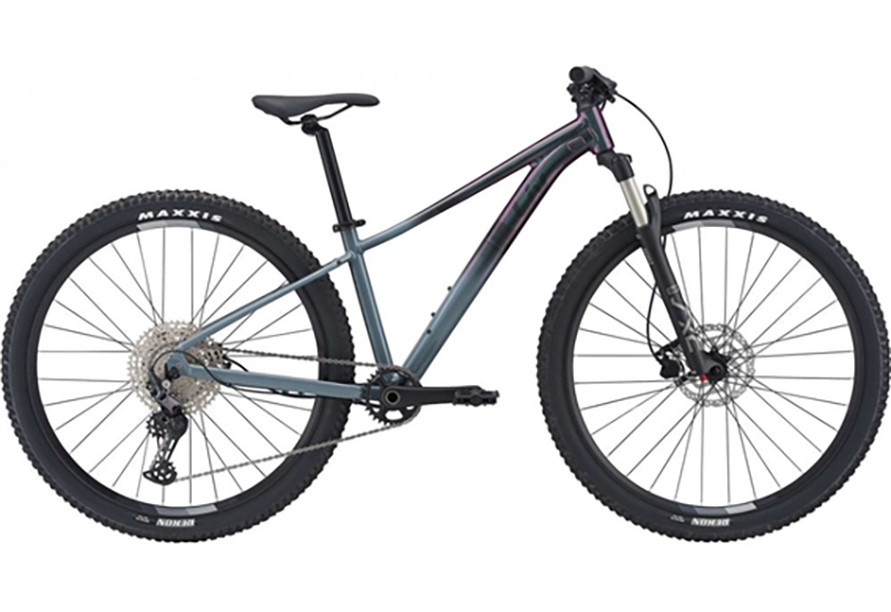 Liv Tempt 29 0 - 2021