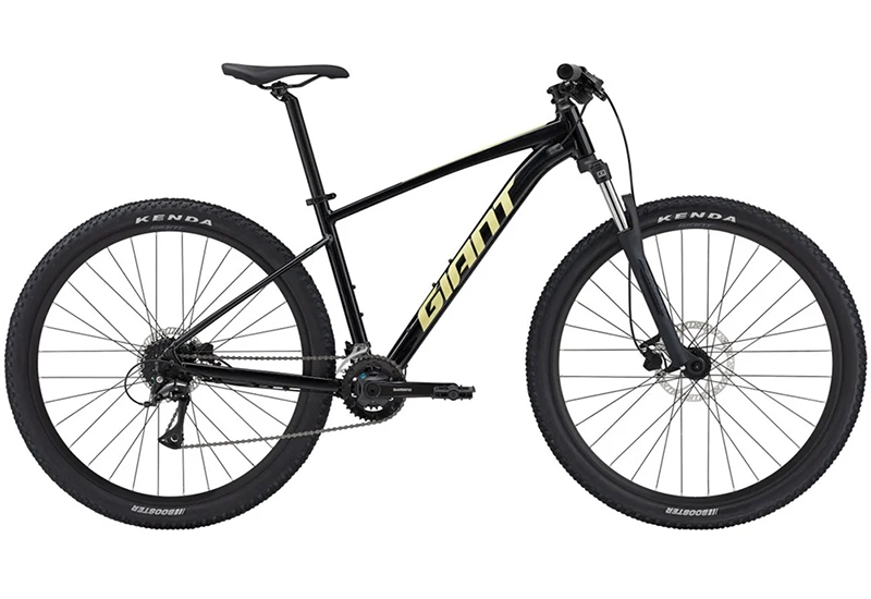 Talon 29 3 - 2024
