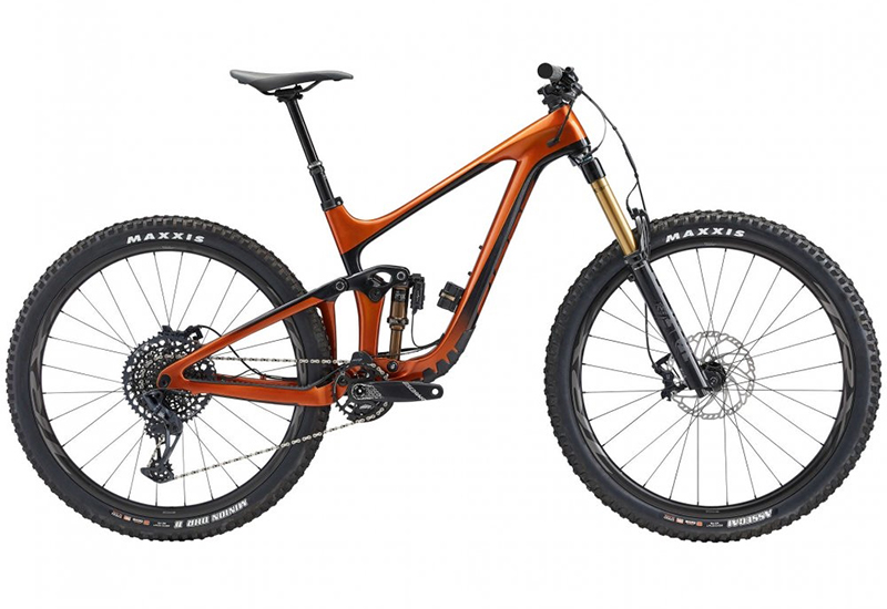 Reign Advanced Pro 29 1 - 2022