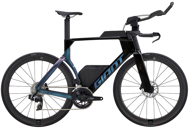 Trinity Advanced SL 2 - 2026