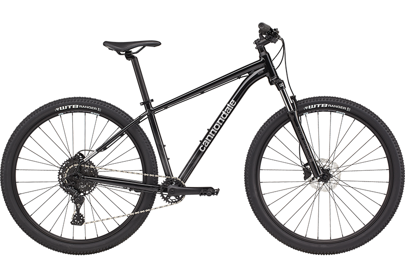 Trail - 2021