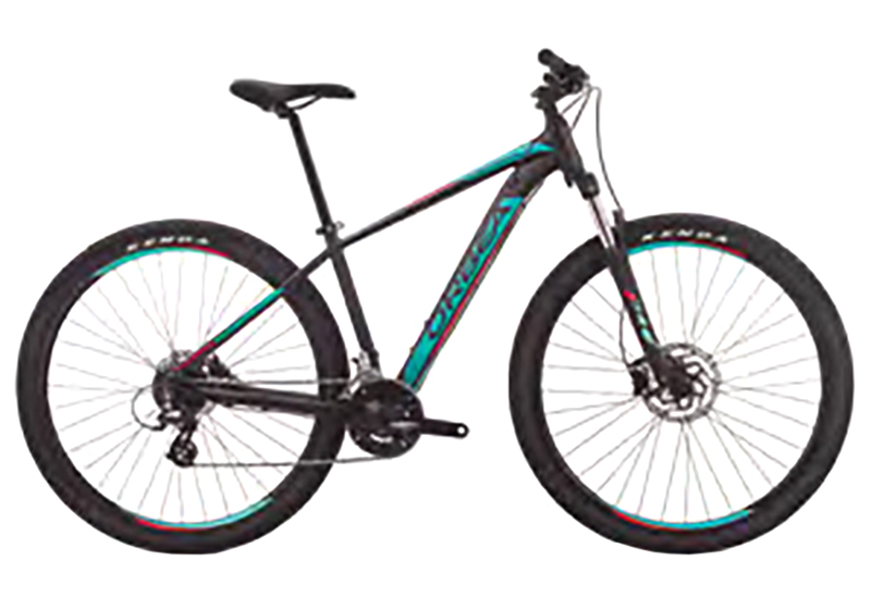 MX 50 - 2019