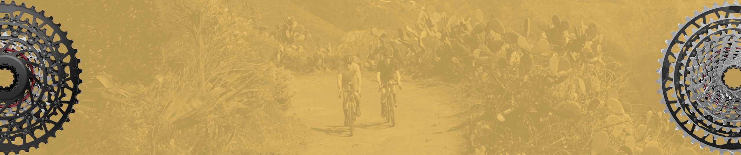 Listing header image