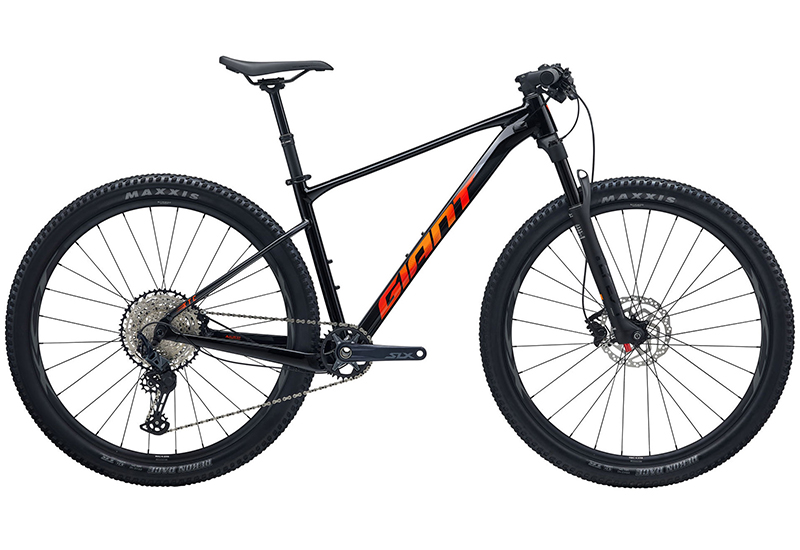 XTC SLR 29 1 - 2026