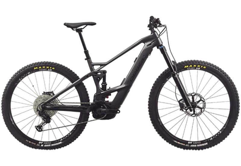 Wild FS M10 - 2020