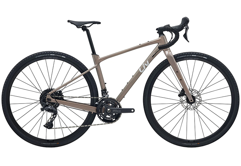 Devote 1 - 2026