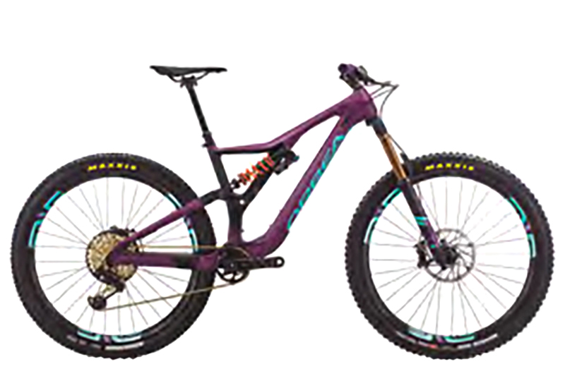 Rallon M-LTD - 2019