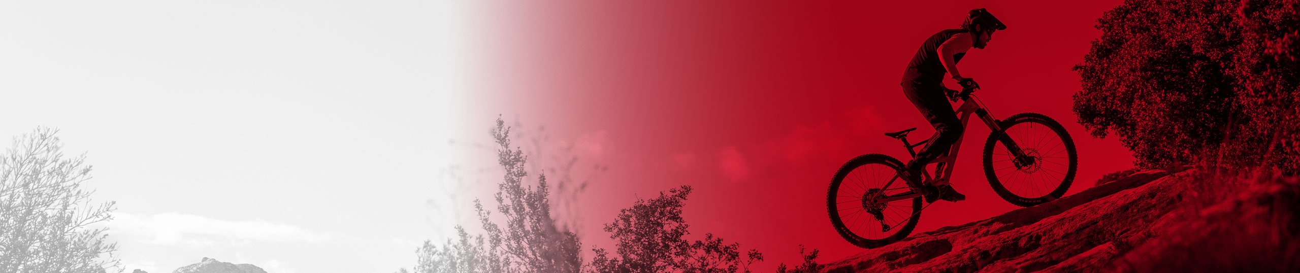 Listing header image