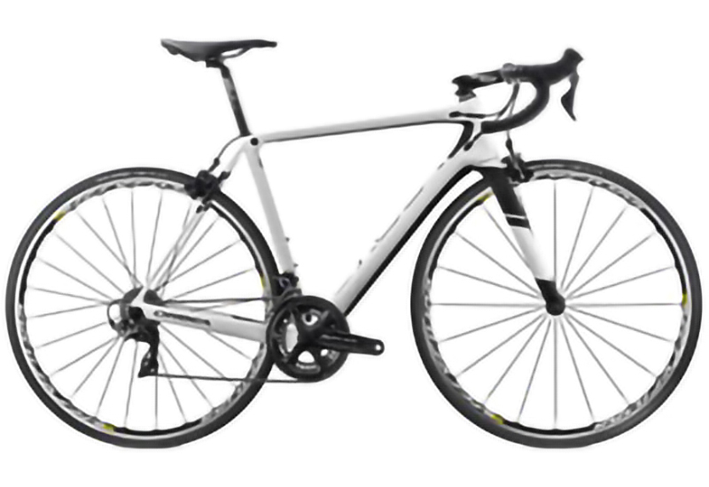 Orca M10 Team - 2018