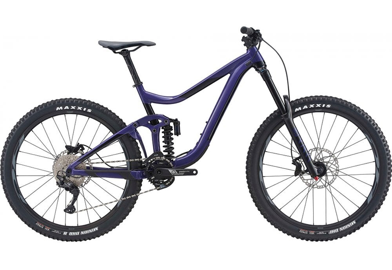 Reign SX - 2021