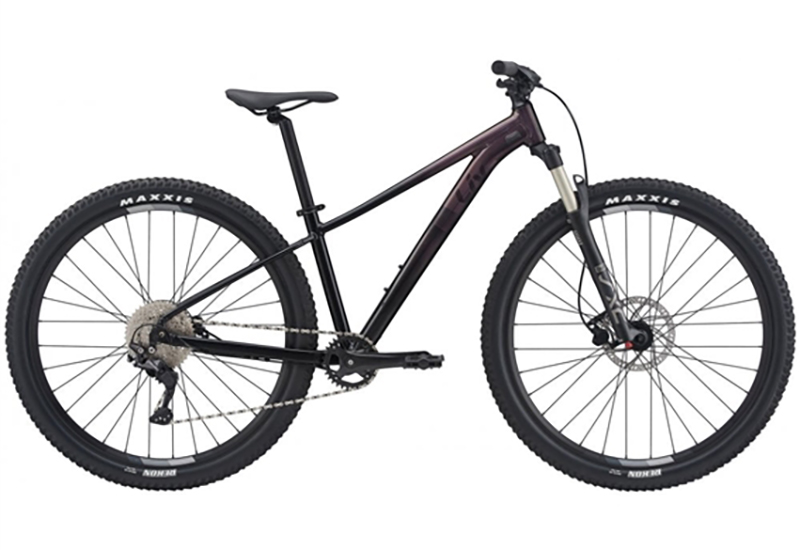 Liv Tempt 29 1 - 2021