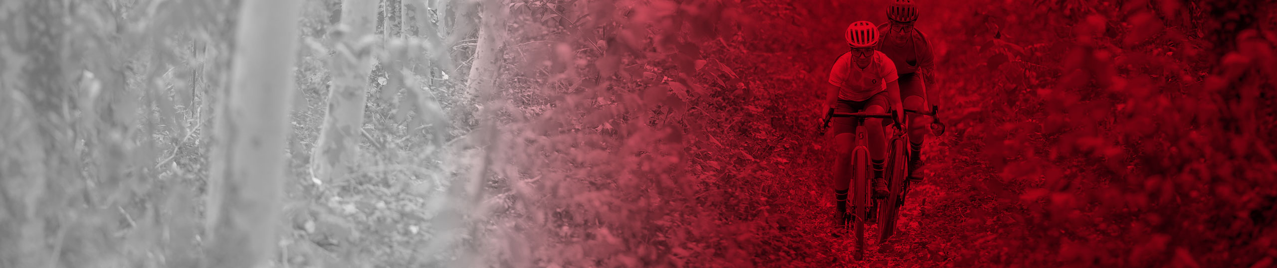 Listing header image