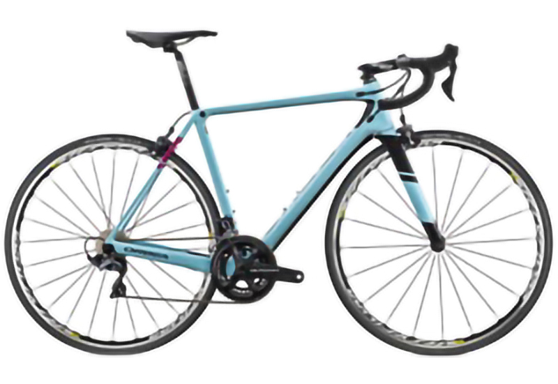 Orca M20 Team - 2018