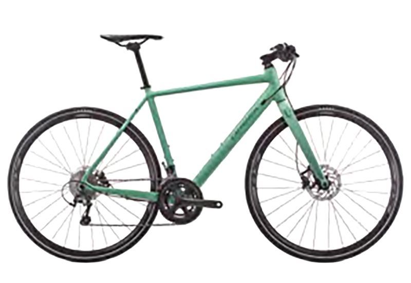 Vector 10 - 2019