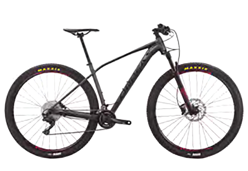 Alma H30 XT - 2019