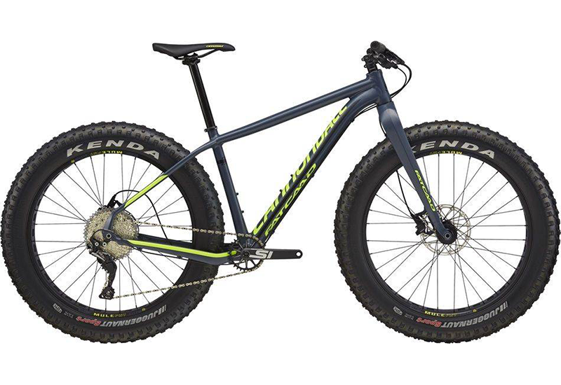 Fat CAAD - 2018