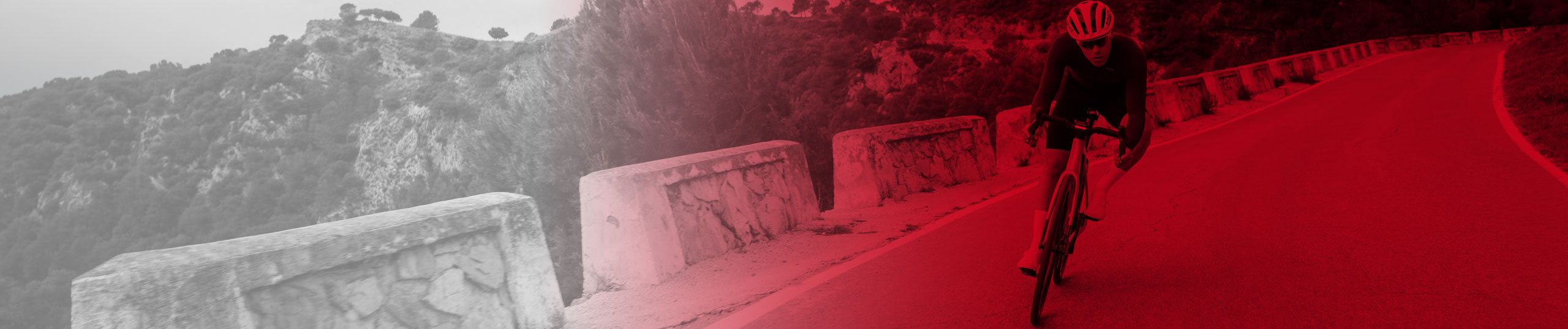 Listing header image