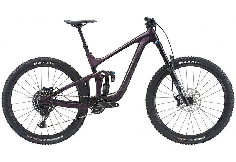 Reign Advanced Pro 29 1 - 2021