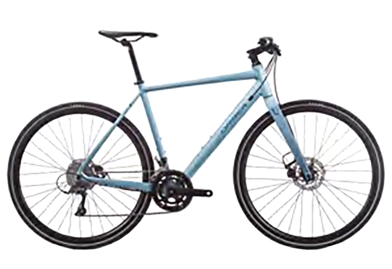 Vector 30 - 2019
