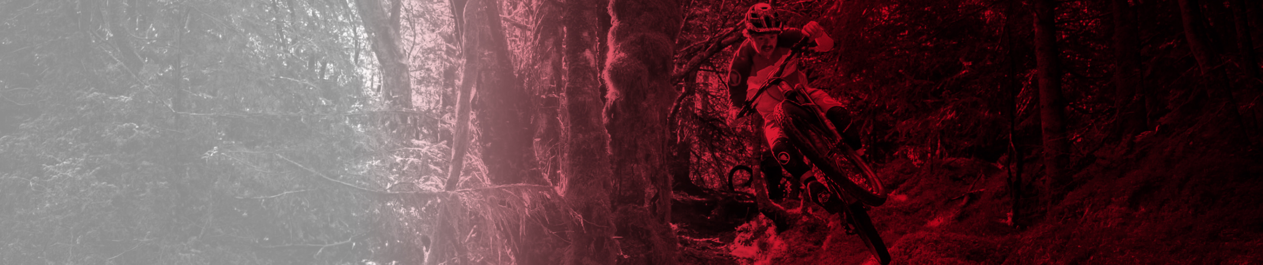 Listing header image