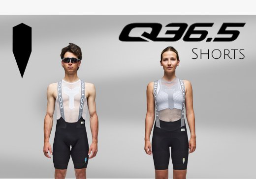 Q36.5 Shorts